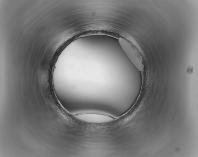 X0000091700826200709141058