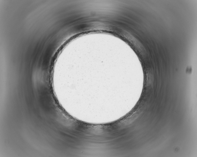 X0000091700828200709141058