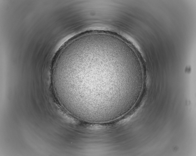 X0000091700829200709141058