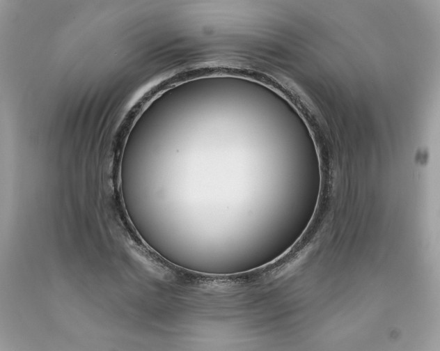 X0000091700830200709141058