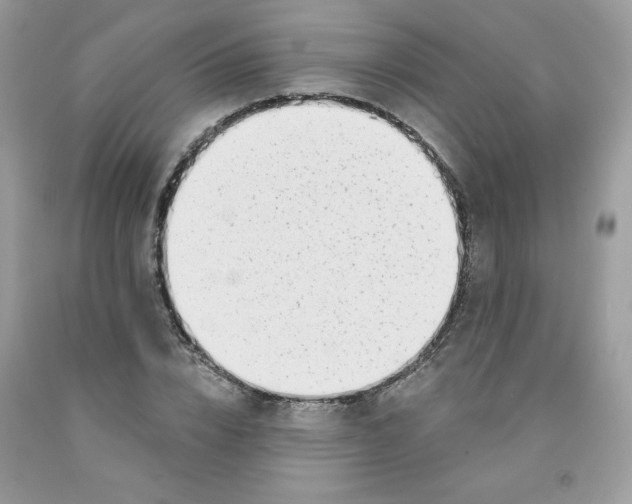 X0000091700832200709141058