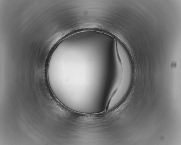 X0000091700834200709141058