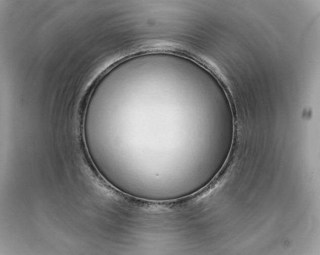 X0000091700835200709141058