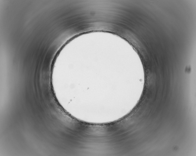 X0000091700836200709141058