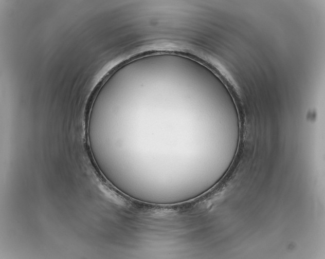 X0000091700837200709141058