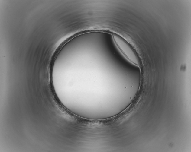 X0000091700838200709141058