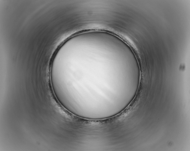 X0000091700839200709141058