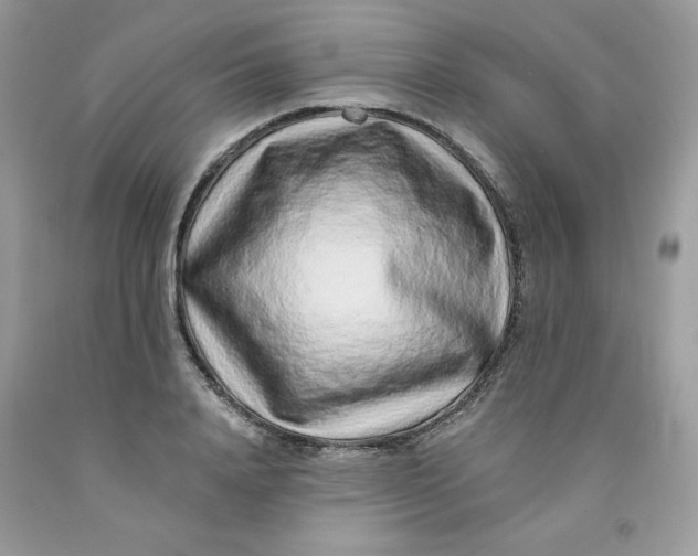 X0000091700840200709141058