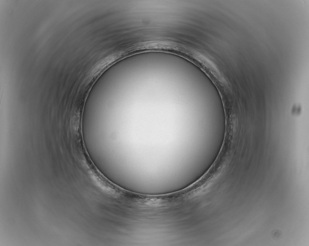 X0000091700841200709141058