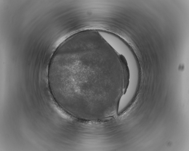 X0000091700842200709141058