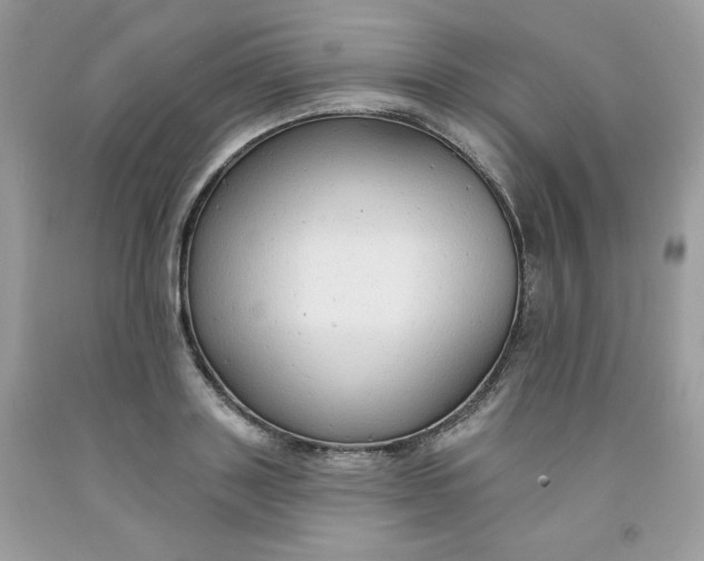 X0000091700843200709141058