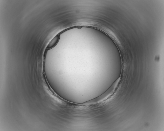 X0000091700844200709141058