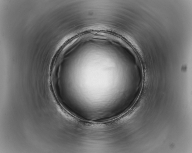 X0000091700845200709141058