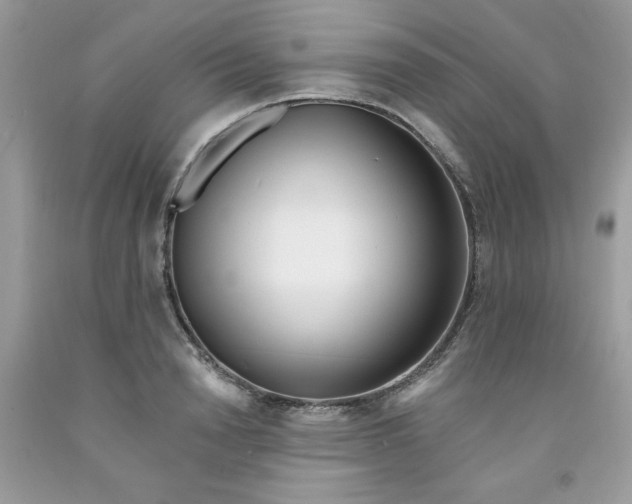 X0000091700846200709141058