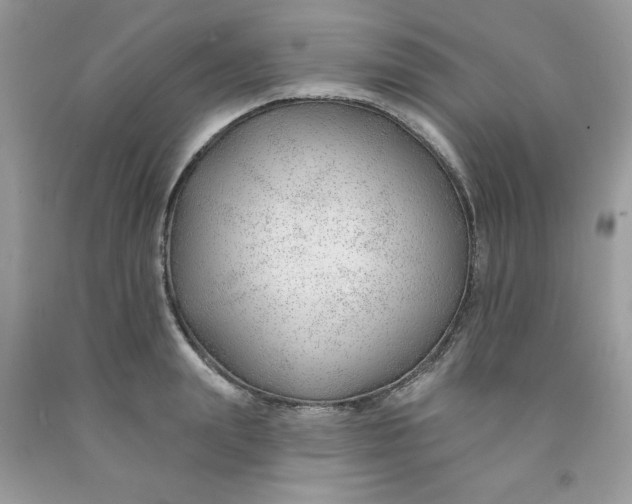 X0000091700847200709141058