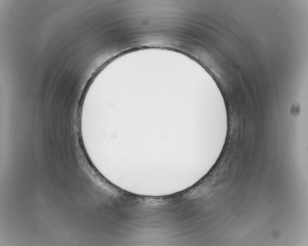 X0000091700848200709141058