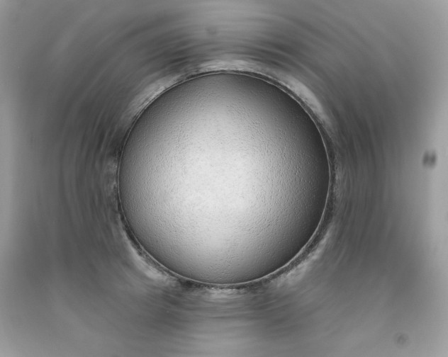 X0000091700849200709141058