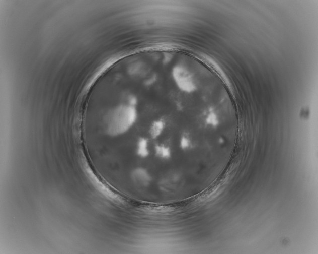 X0000091700851200709141058