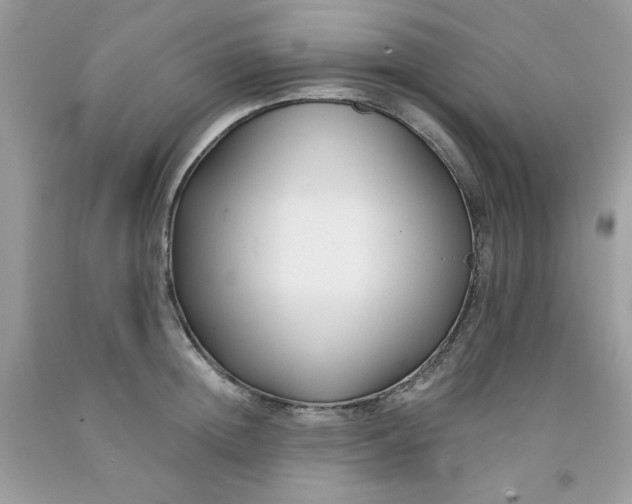 X0000091700852200709141058