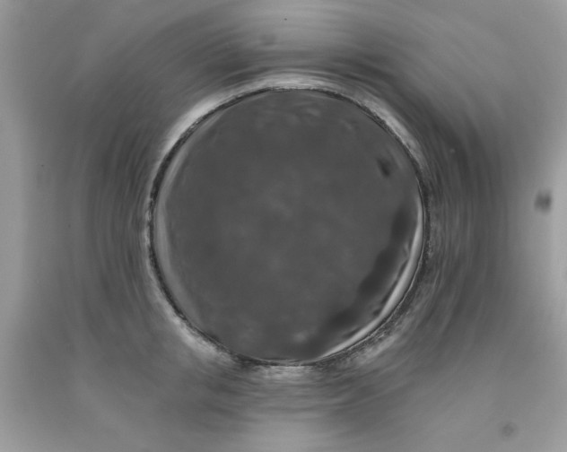 X0000091700853200709141058