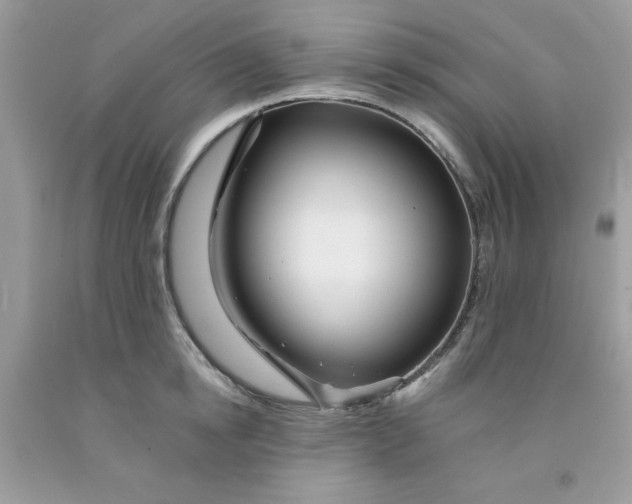 X0000091700854200709141058