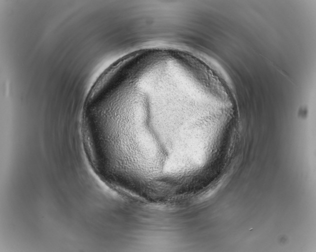 X0000091700855200709141058