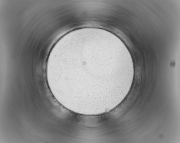 X0000091700856200709141058