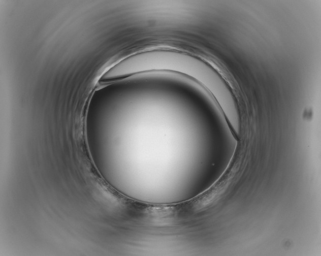 X0000091700858200709141058