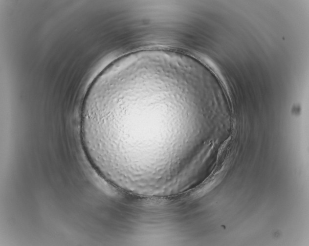 X0000091700859200709141058