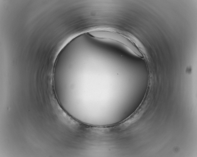 X0000091700860200709141058