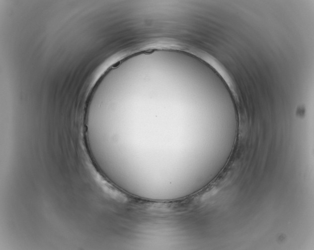 X0000091700861200709141058