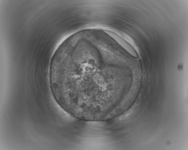 X0000091700863200709141058