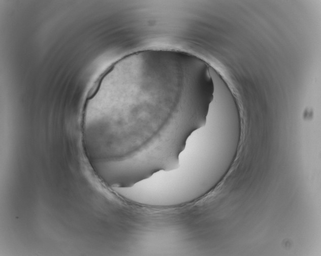 X0000091700864200709141058