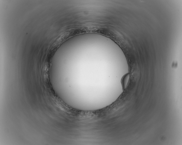 X0000091700866200709141057