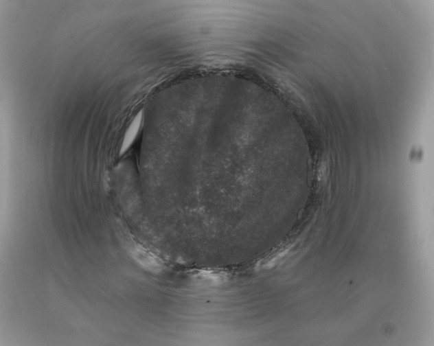 X0000091700868200709141057