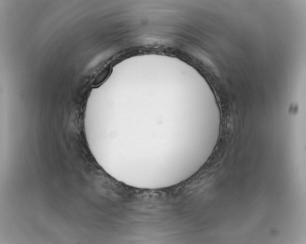 X0000091700869200709141057