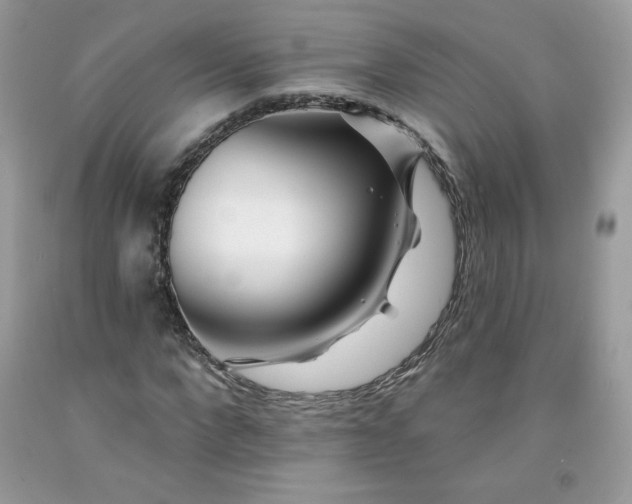 X0000091700872200709141057