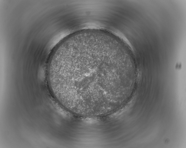 X0000091700874200709141057