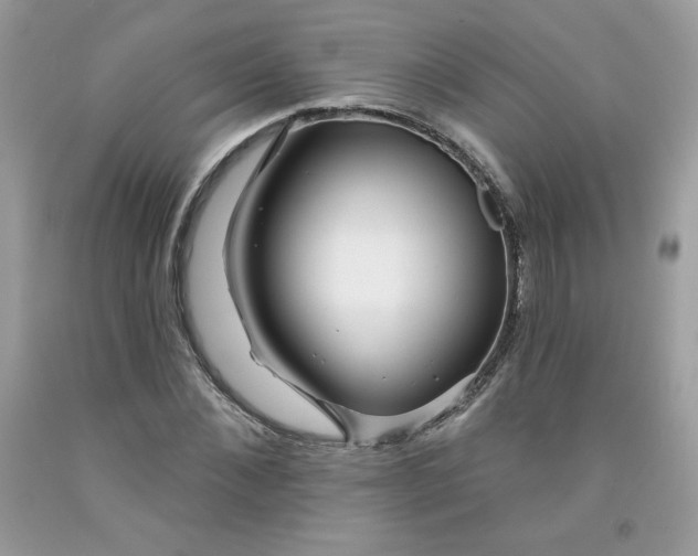 X0000091700876200709141057