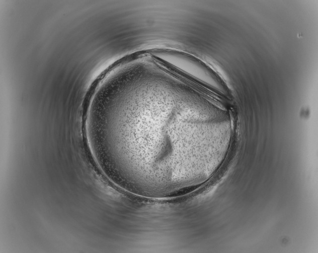 X0000091700877200709141057