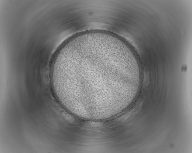 X0000091700878200709141057