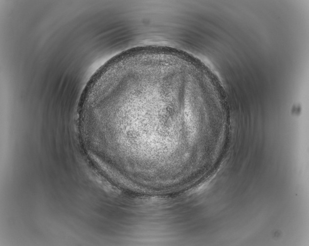 X0000091700879200709141057