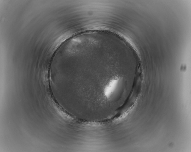 X0000091700881200709141057