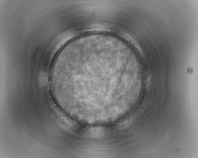 X0000091700882200709141057