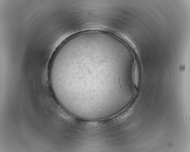 X0000091700883200709141057