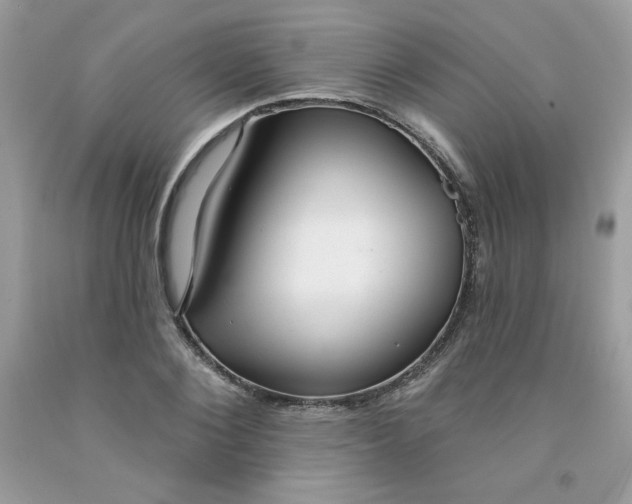 X0000091700884200709141057