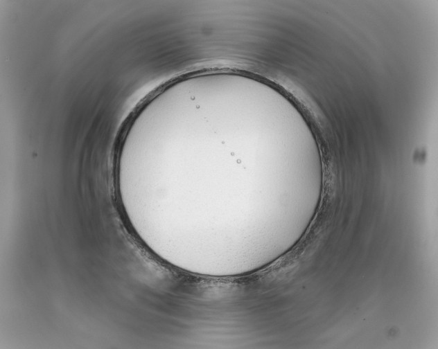 X0000091700886200709141057