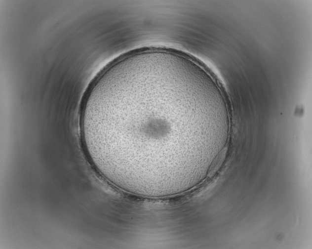 X0000091700887200709141057