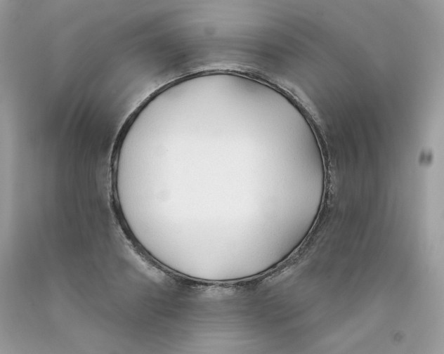 X0000091700890200709141057