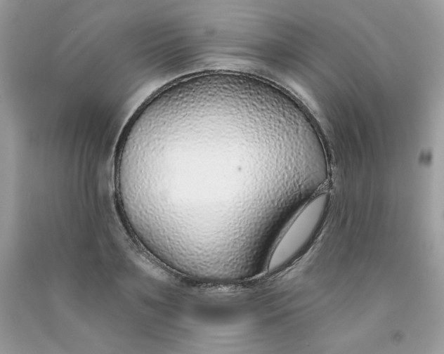 X0000091700891200709141057